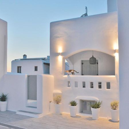 Naxian Album Villa Kaliope With Private Pool In Naxos Glinado Naxos エクステリア 写真