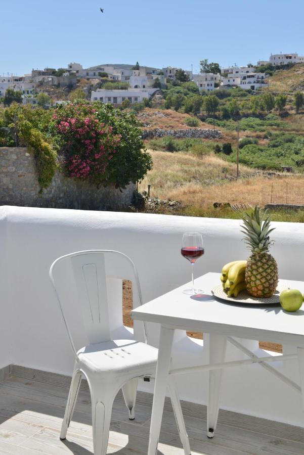 Naxian Album Villa Kaliope With Private Pool In Naxos Glinado Naxos エクステリア 写真